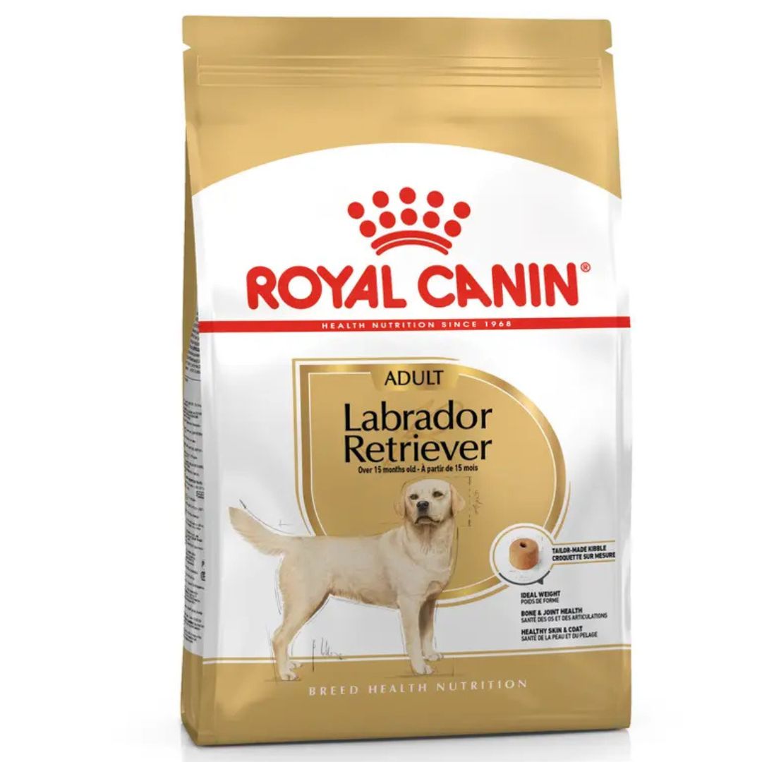 Dog Food for Dogs Older Than 15 Months Dog Food