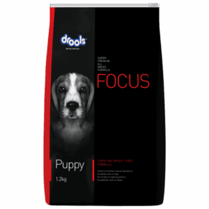 Drools Focus Starter 1.2 Kg