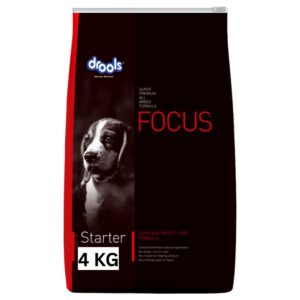 Drools Focus Starter 4 KG