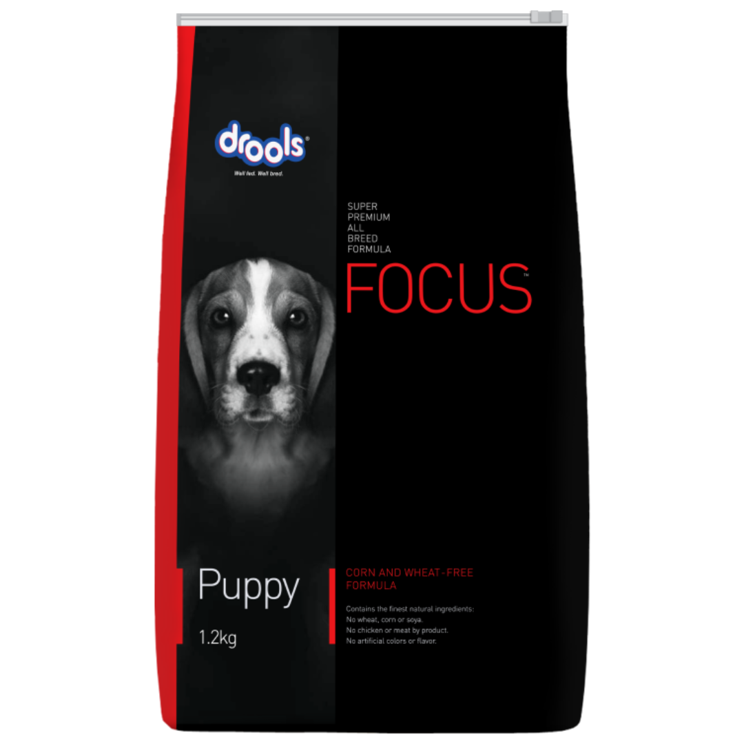 Drools Focus Starter 1.2 Kg