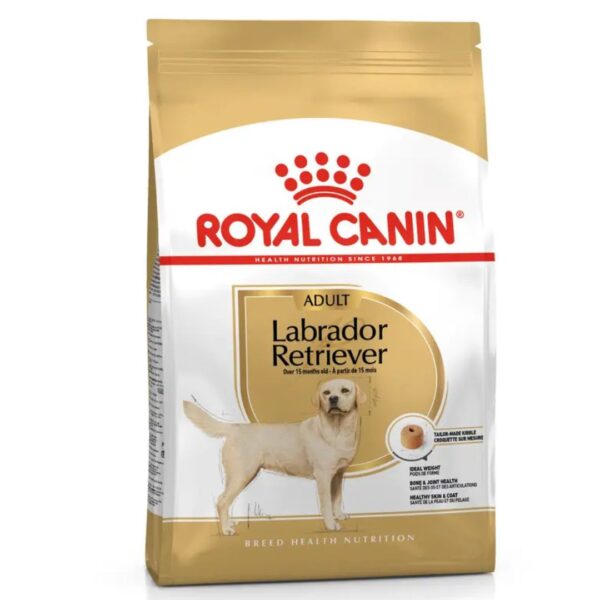 Royal Canin Adult Labrador