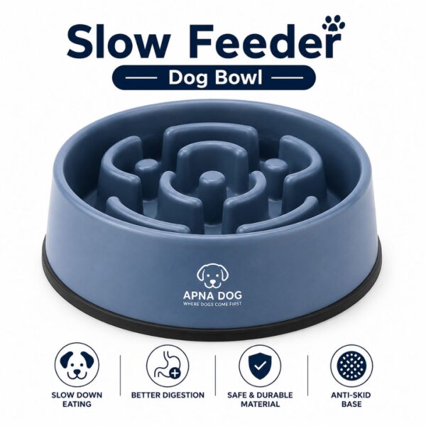 Slow Feeder Dog Bowl