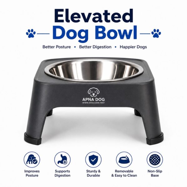 Elevated Dog Bowl