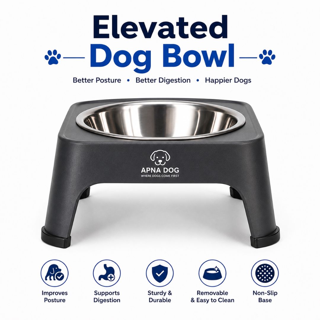 Elevated Dog Bowl