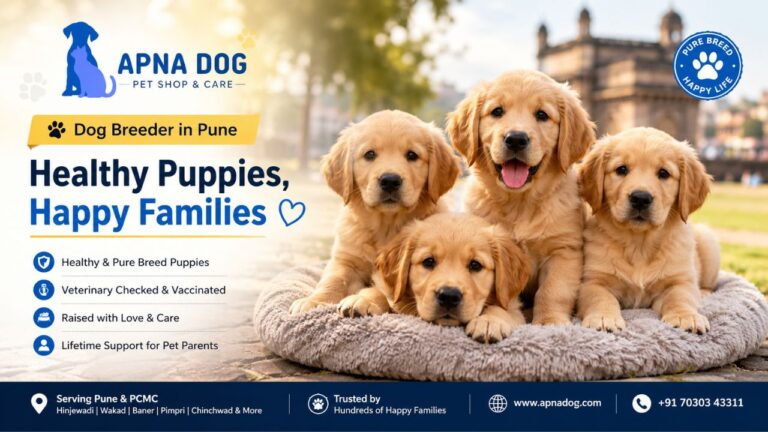 Dog Breeder in Pune – Healthy Puppies and Happy Families | Apna Dog
